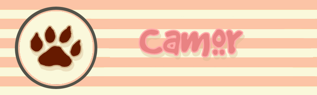 Camor Store